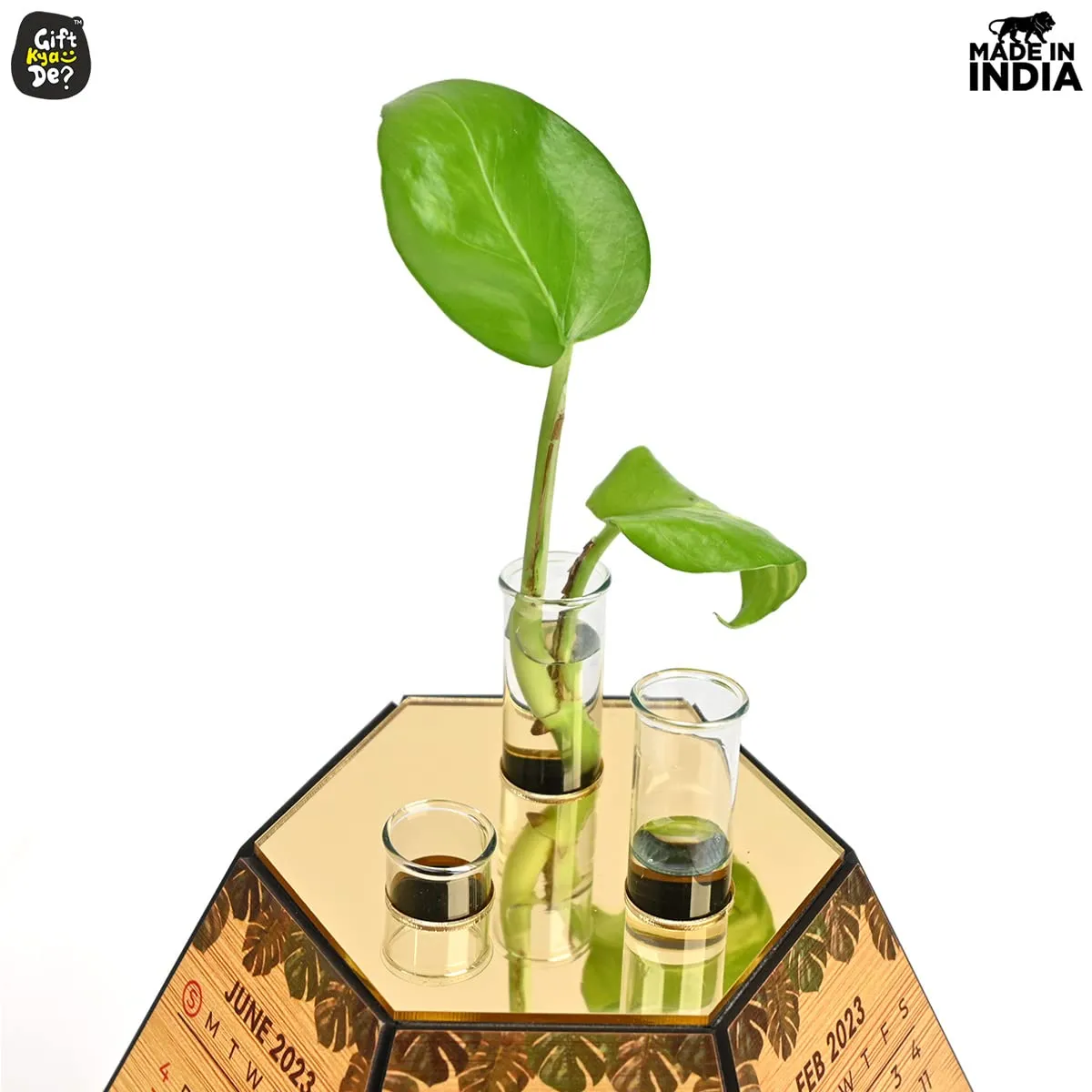 4 Compartment Desk Organizer With Clock & Calendar With Test Tube Planter Combo | Corporate Gift