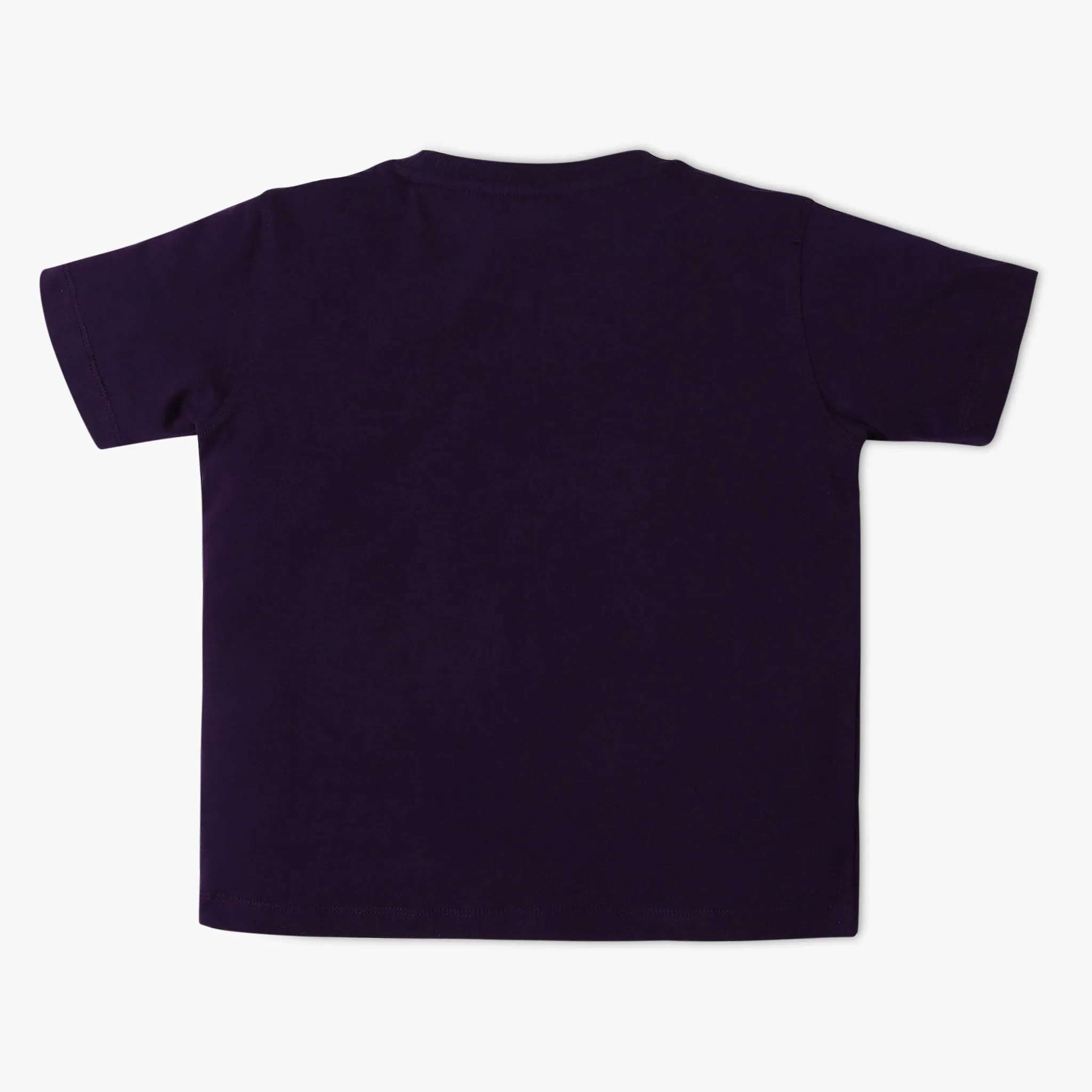 Boy's Regular Fit Graphic T-Shirt