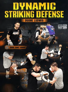 Dynamic Striking Defense by Duane Ludwig