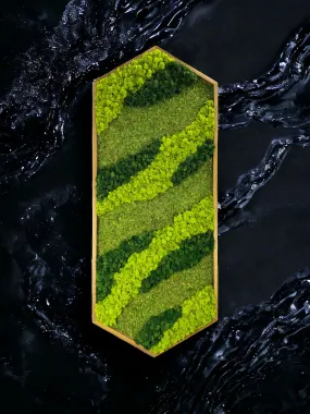 Extended Hexagon Moss Art