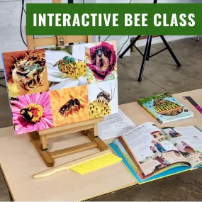 Interactive Bee Class