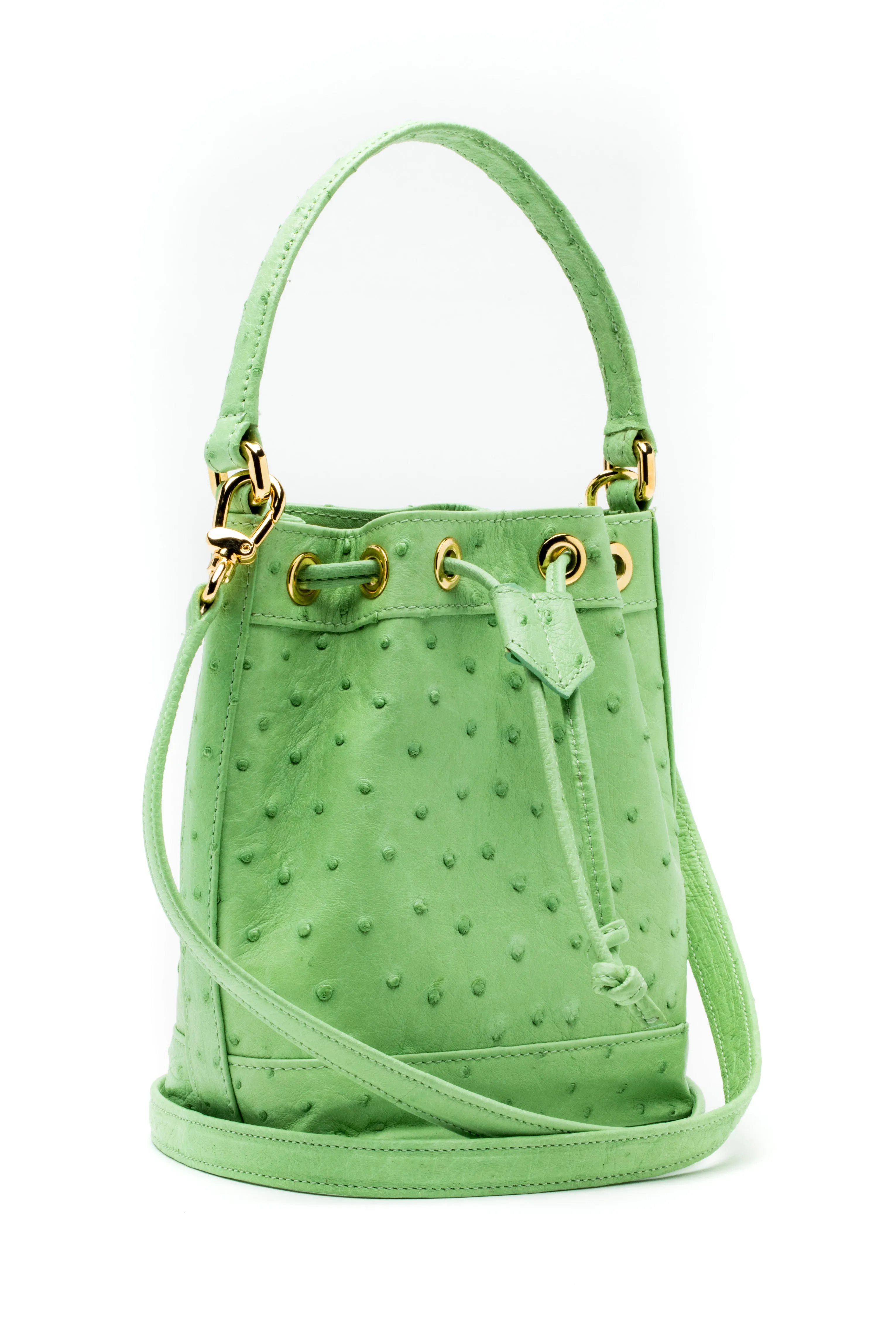 Petite Isla Tote in Lime Ostrich