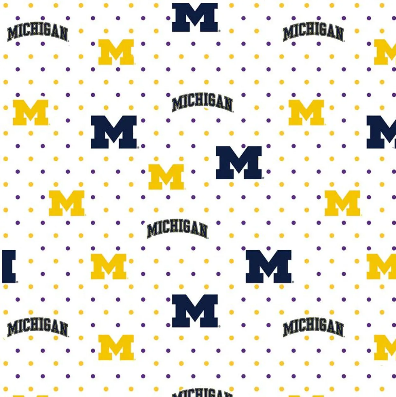 University of Michigan Zipper Bag